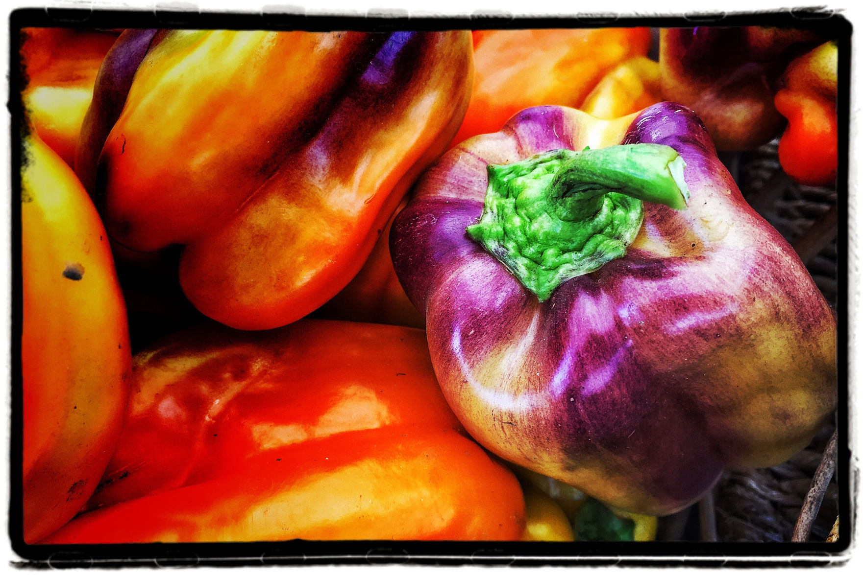 Farmers Market